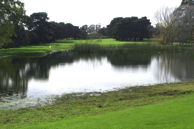 Blue Course