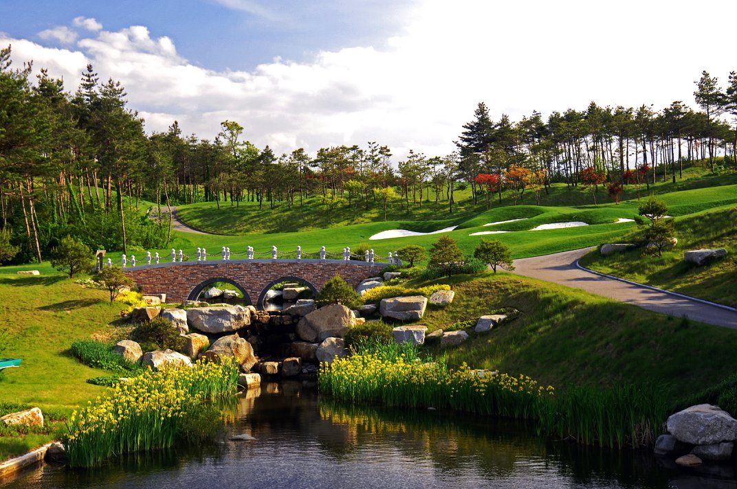 Pine Course