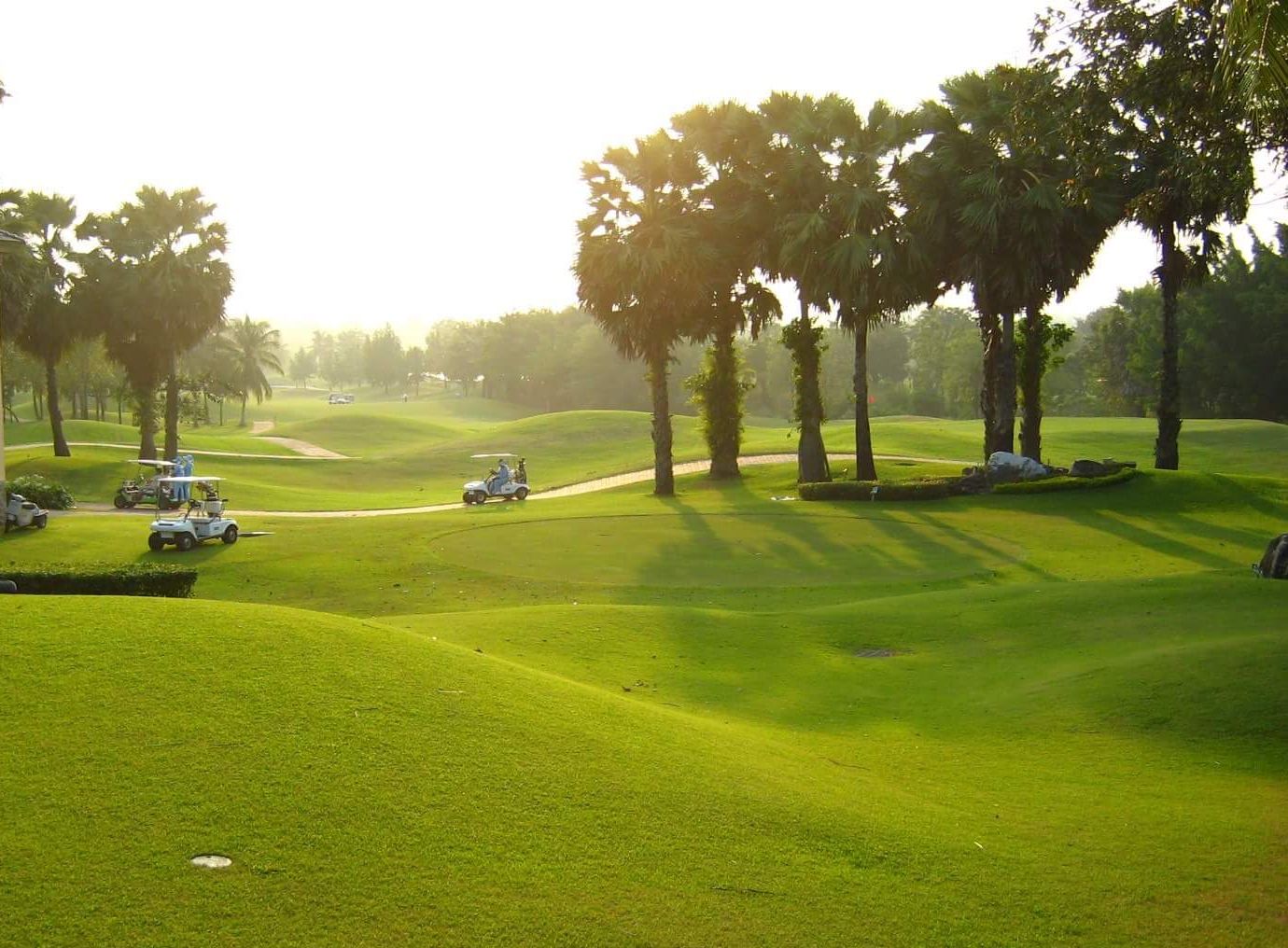 Links Course