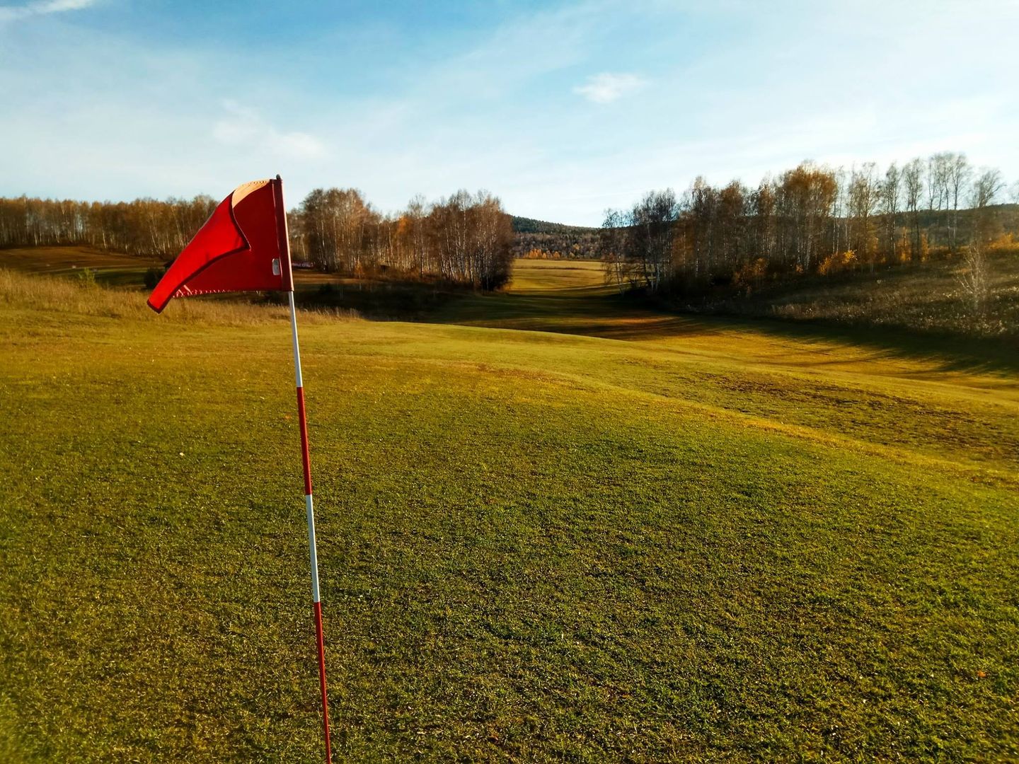 Forest Hills Course
