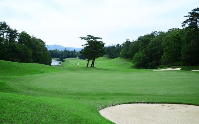 King Course