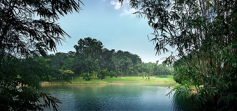 Putera Course