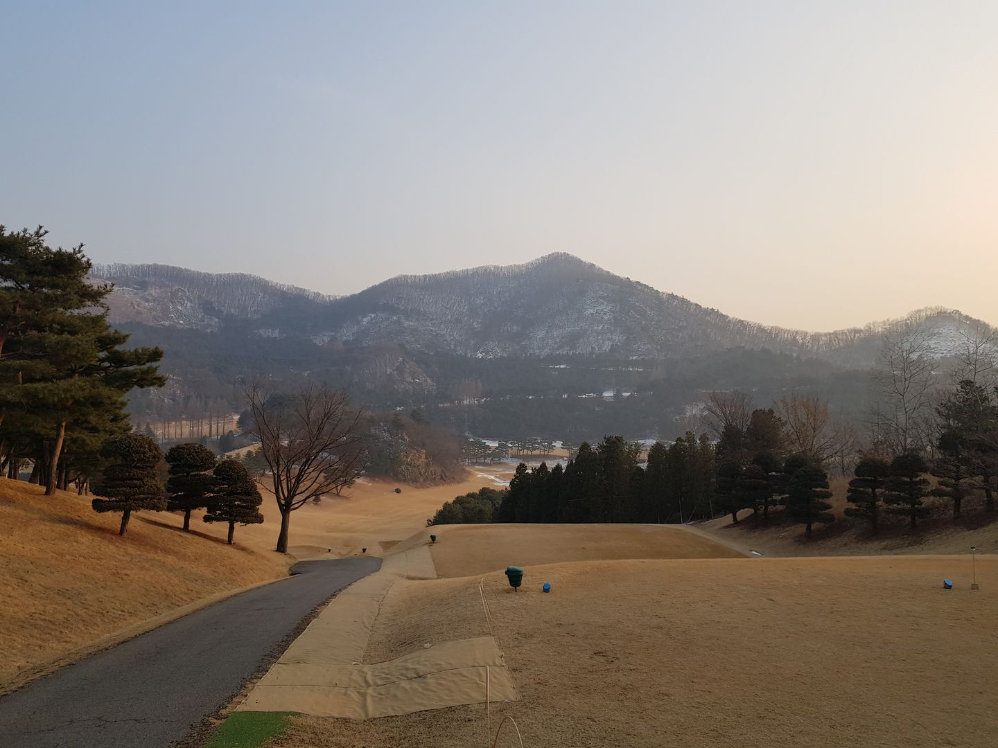 Solomon Course