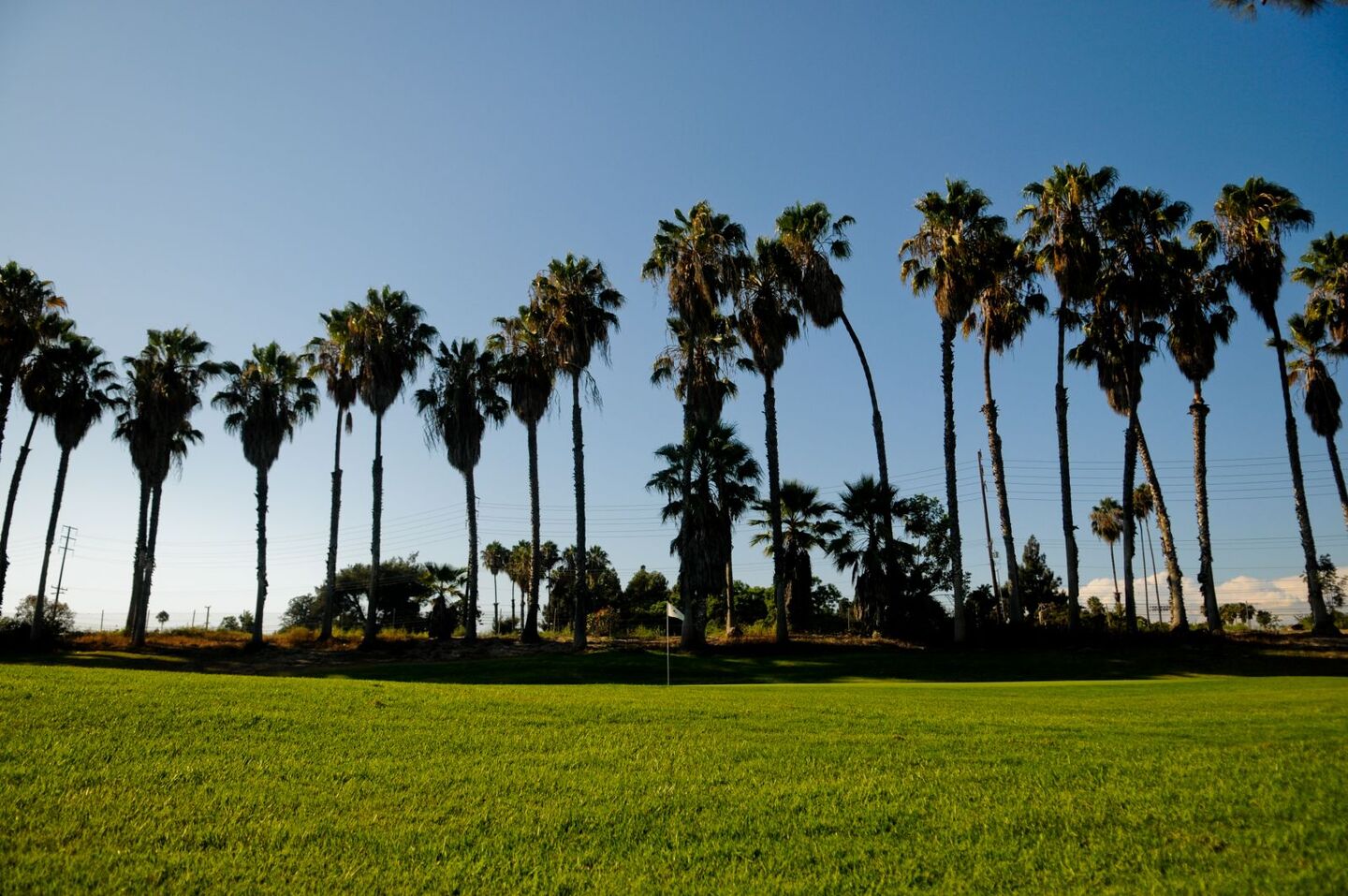 Dad Miller Golf Course