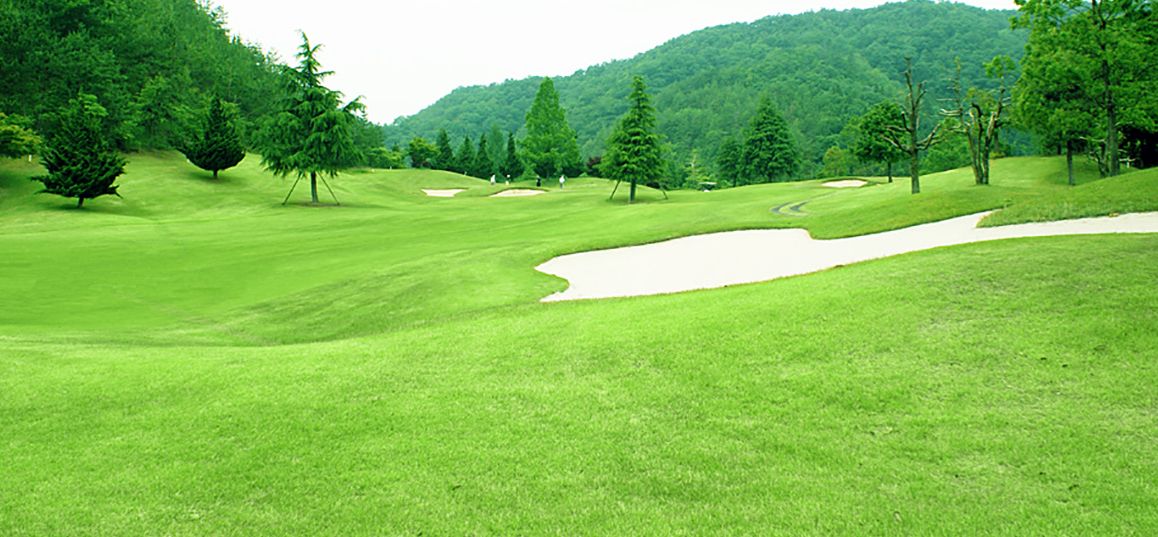 West/East Course