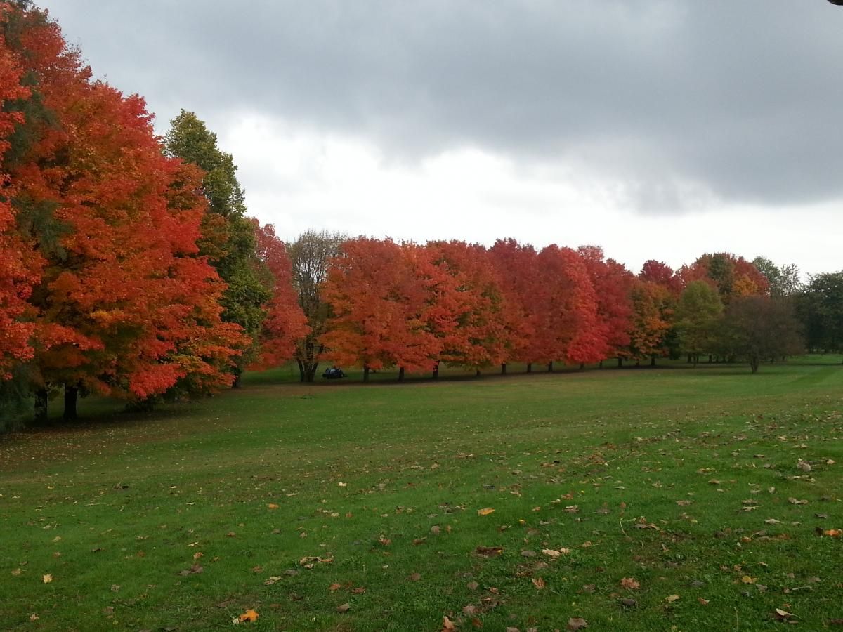Emerald Hills Golf Club