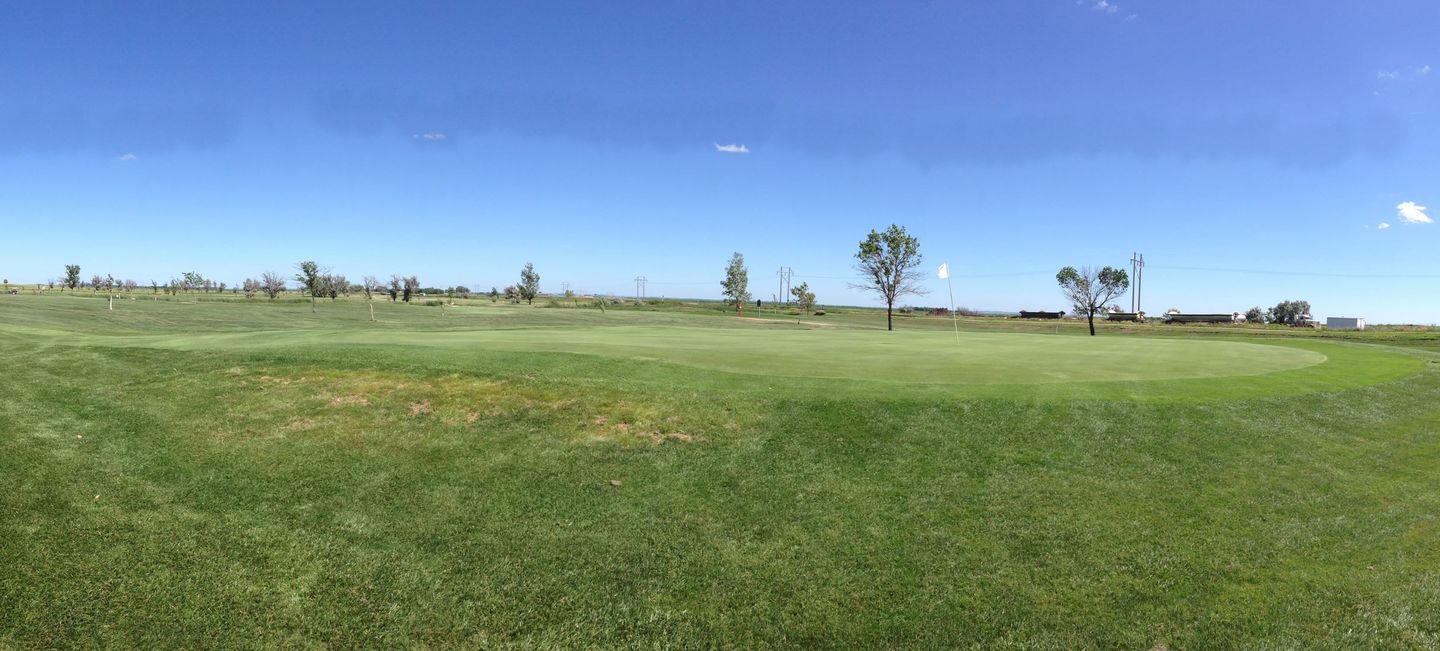 Olive Grove Golf Course