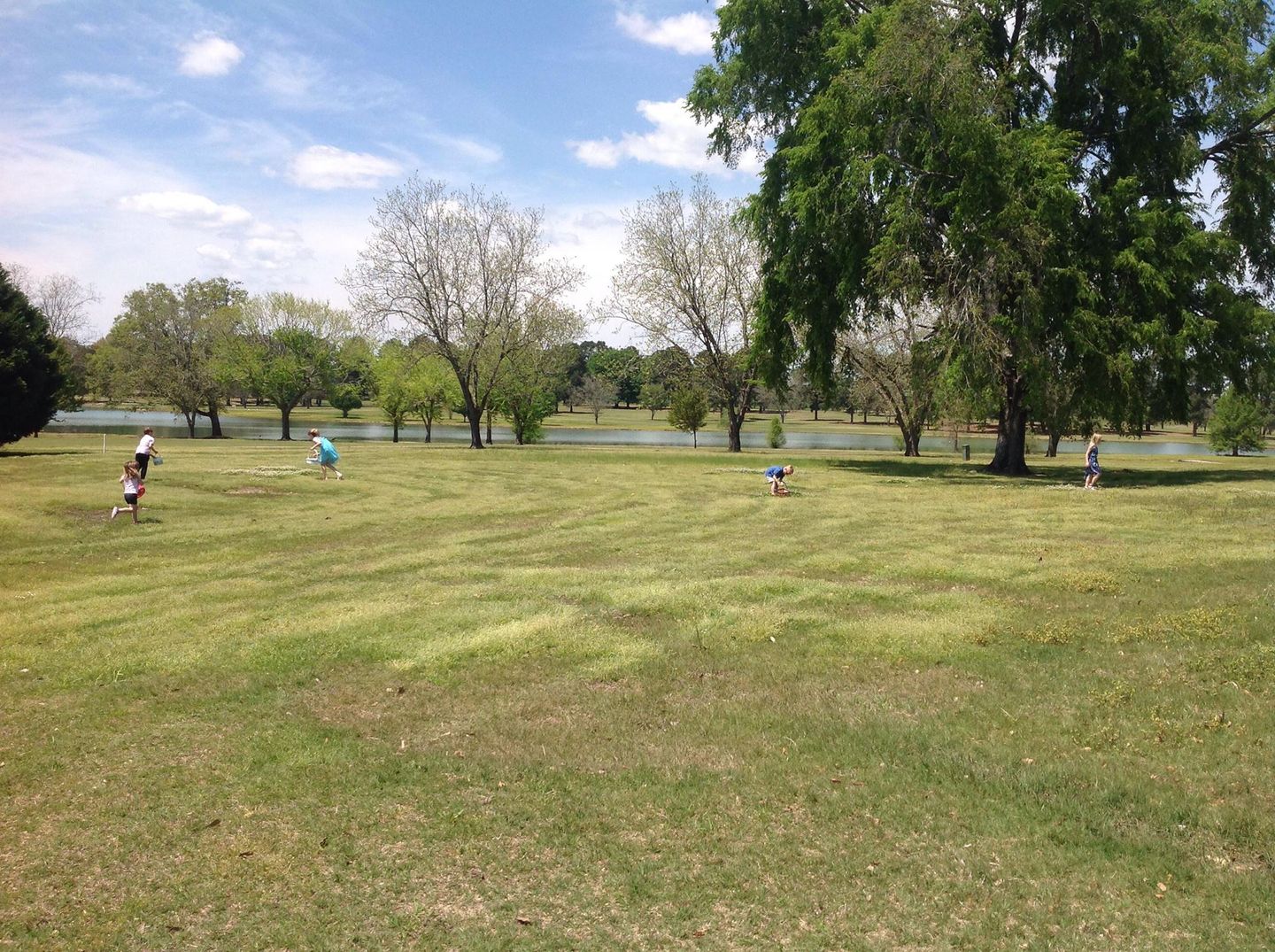 Country Club of Canton, Canton, Mississippi Golf course information and reviews.