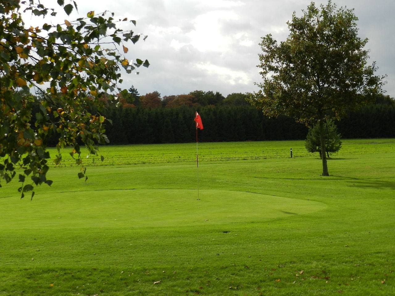 Country Golf Ees