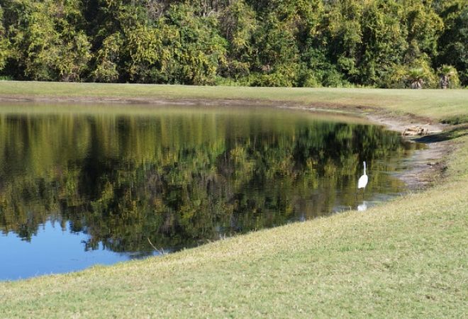 Panther/Bobcat Course