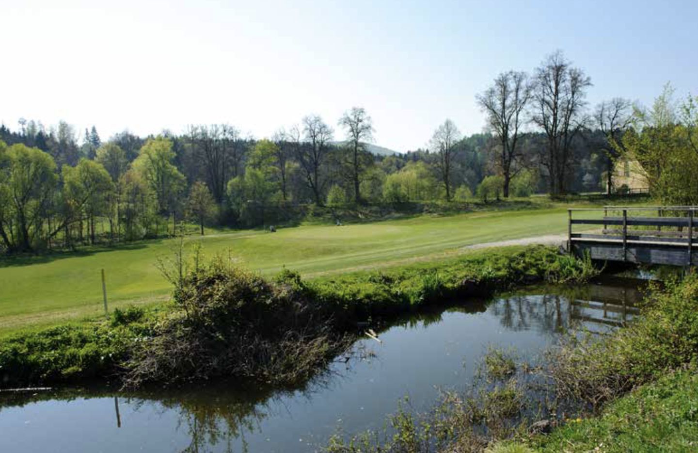 Steinfeld Course