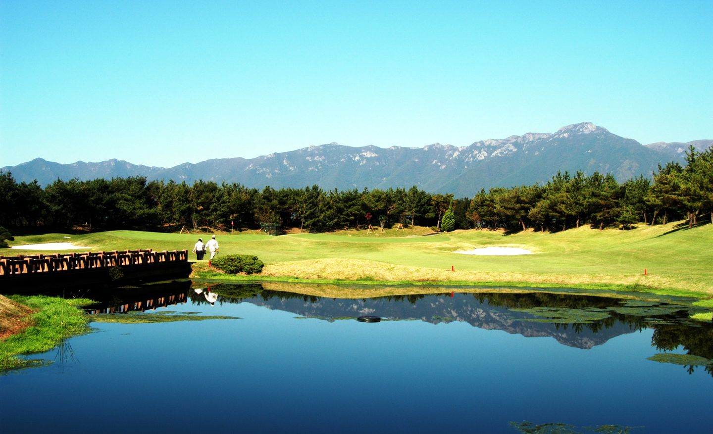 North Course