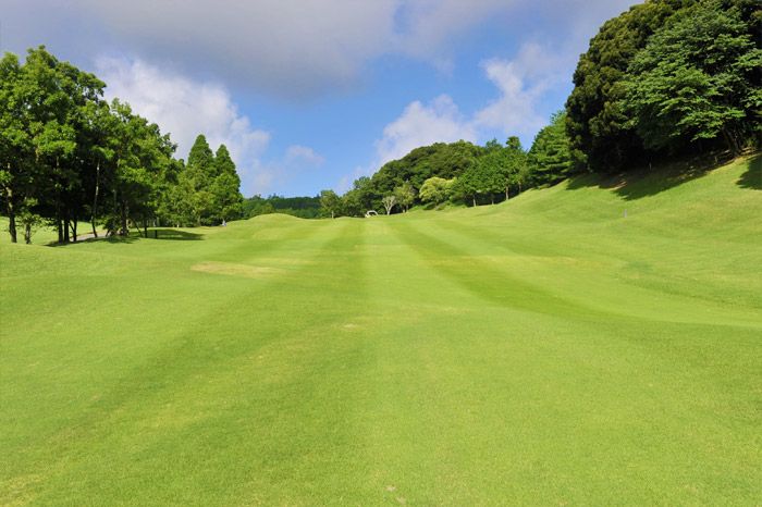 West Course