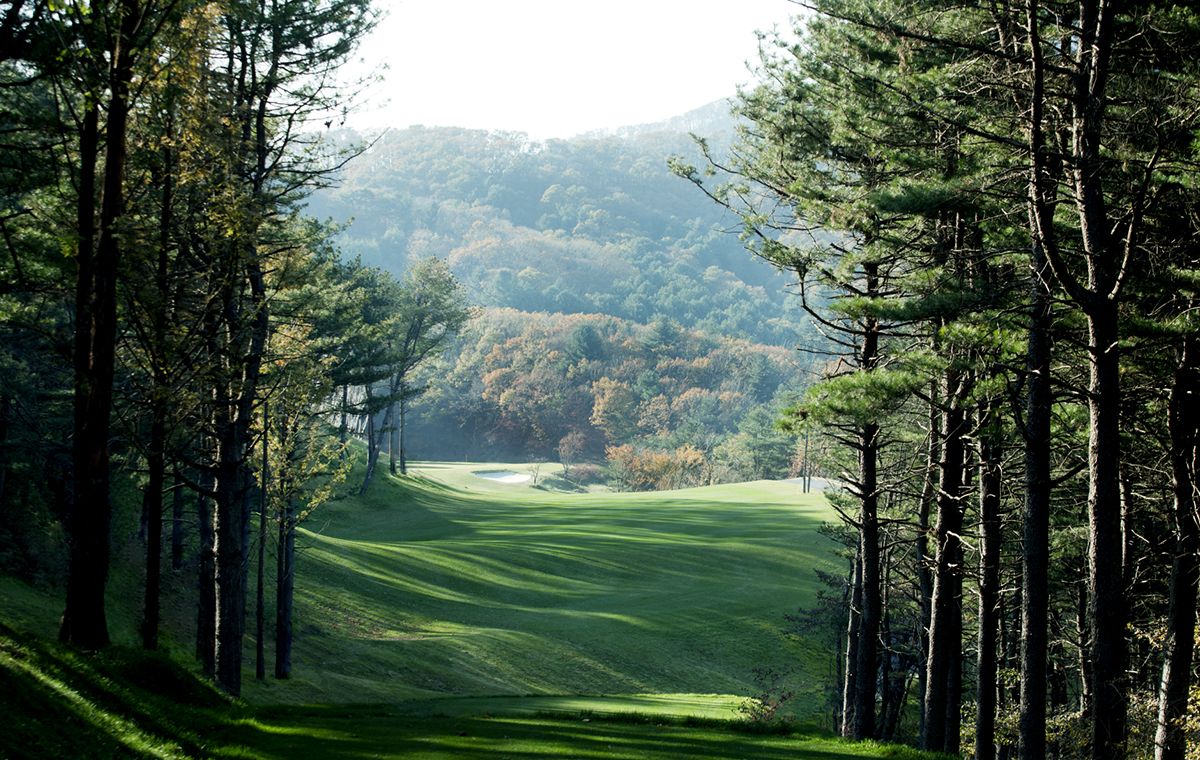 Nutpine Course