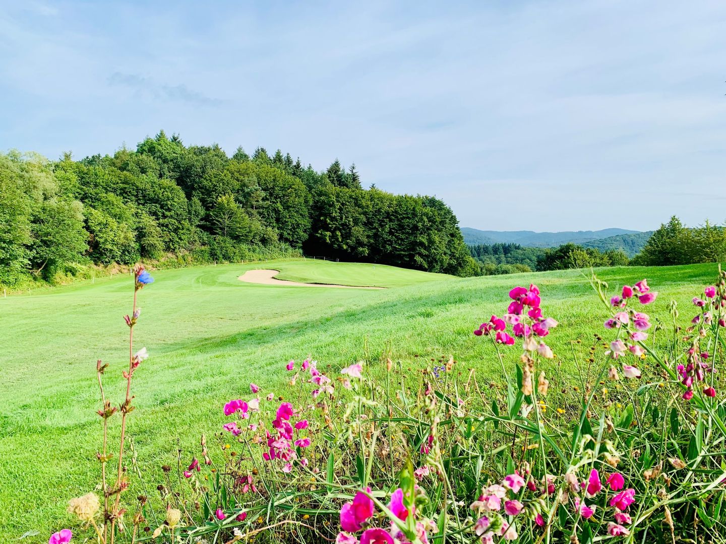 Dillenburg Golf Club