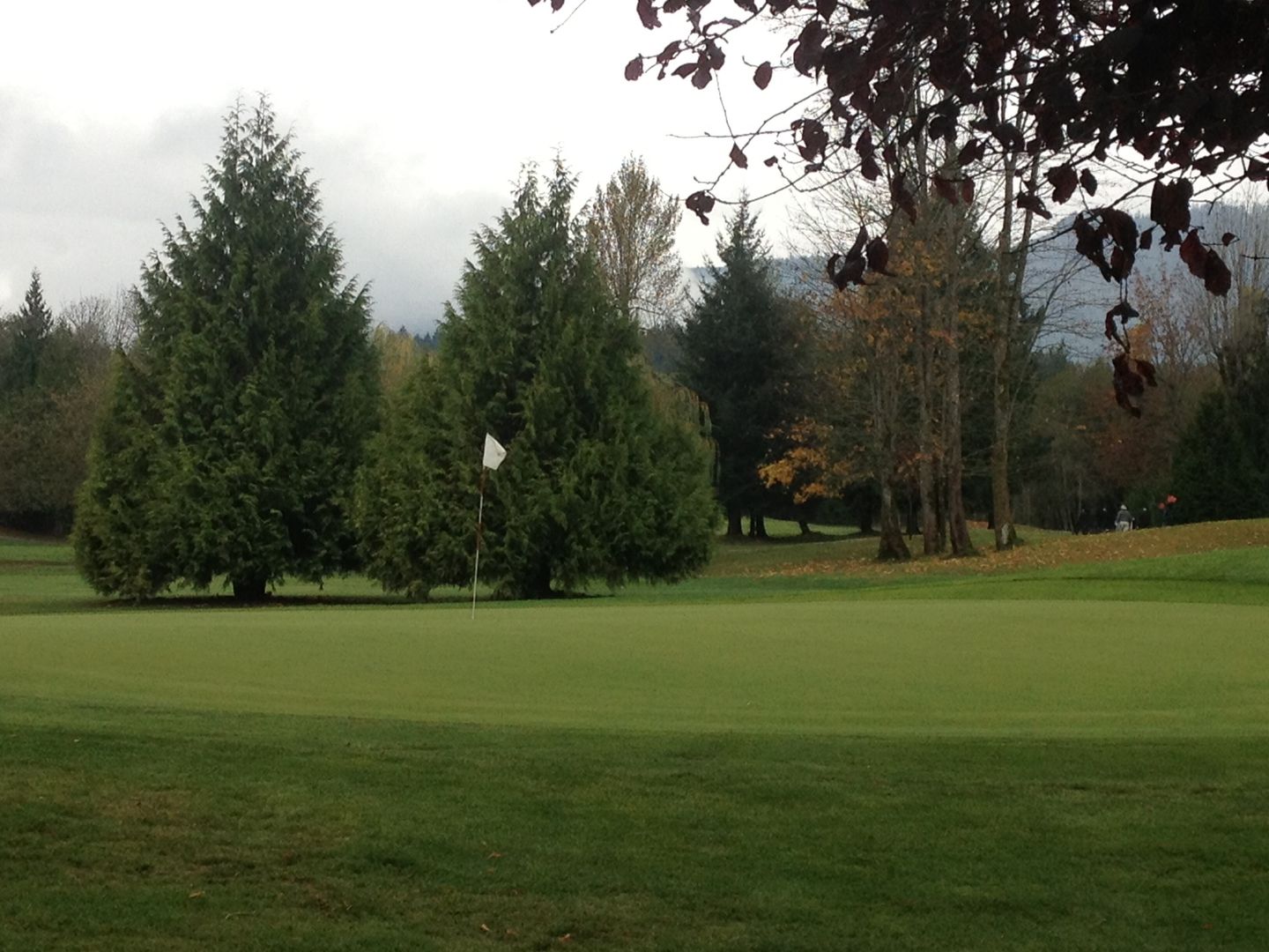 Mount Brenton Golf Club