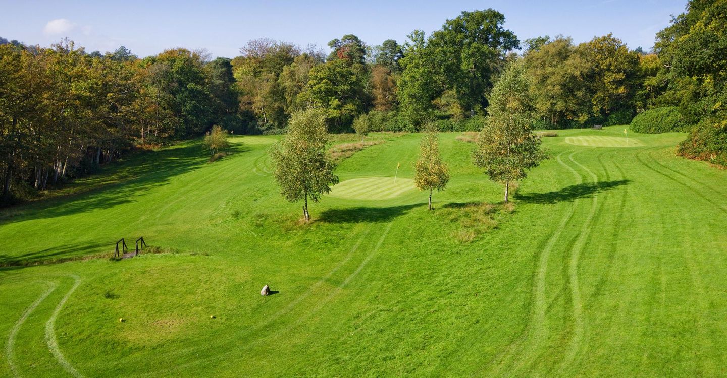 Ashdown Park