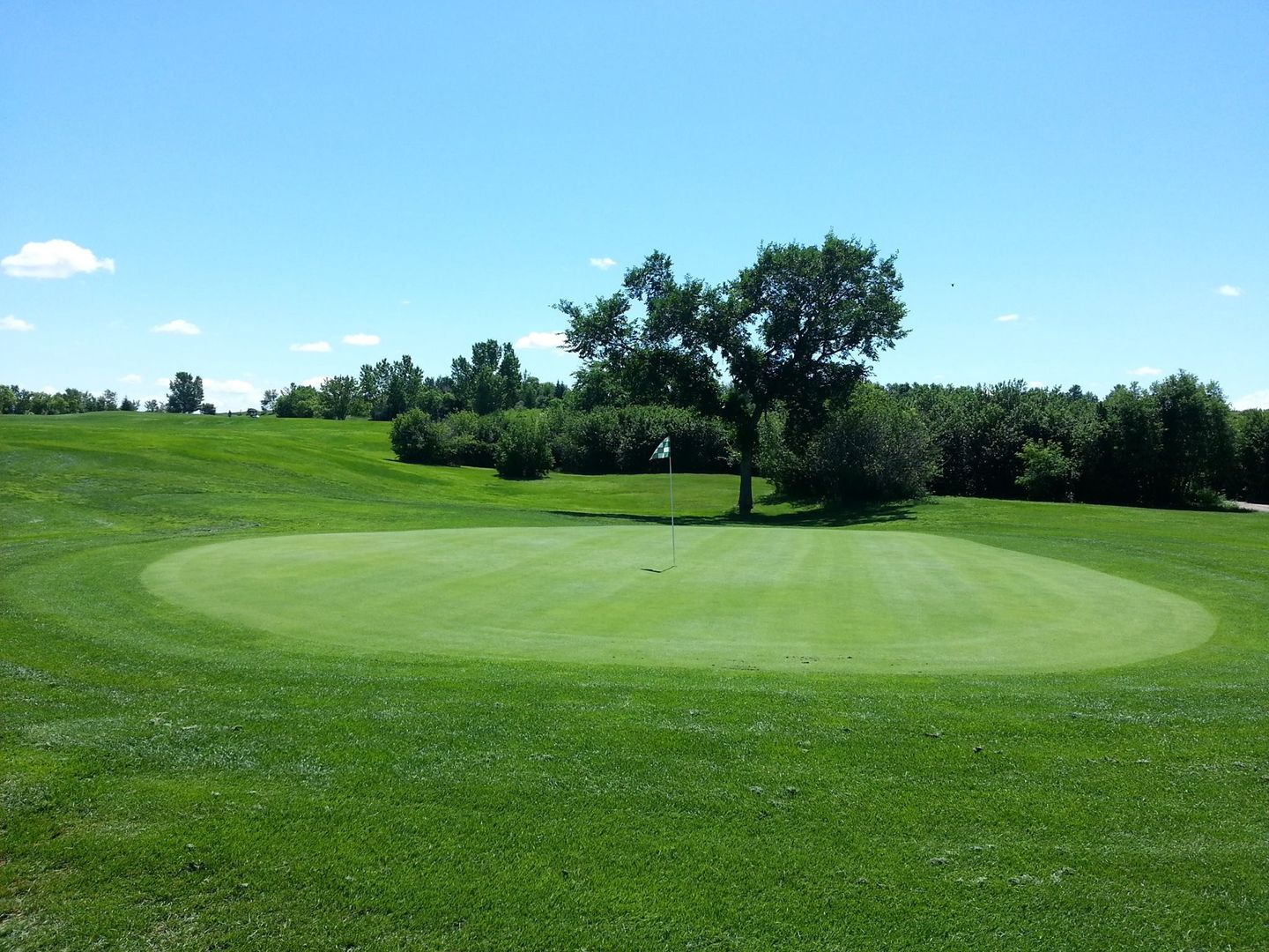 Sherwood Forest Country Club