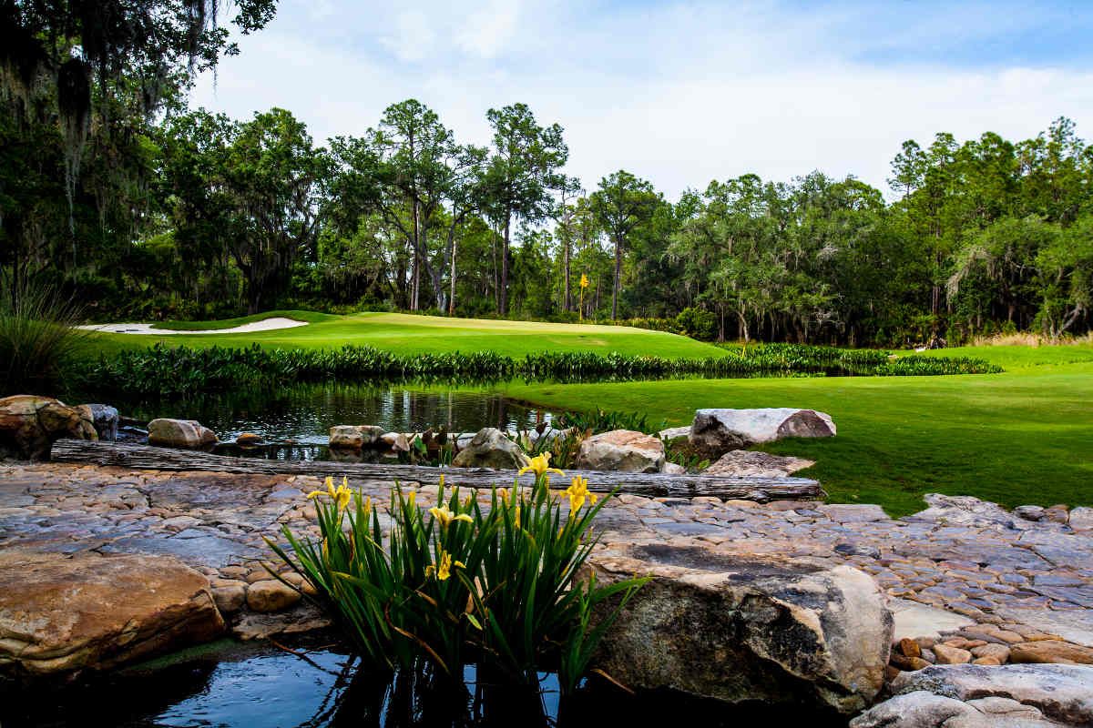The Concession Golf Club