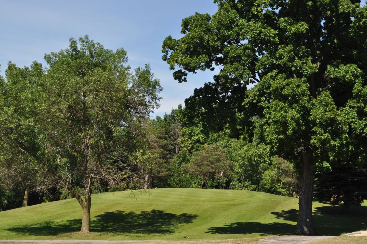 Willard Golf Club