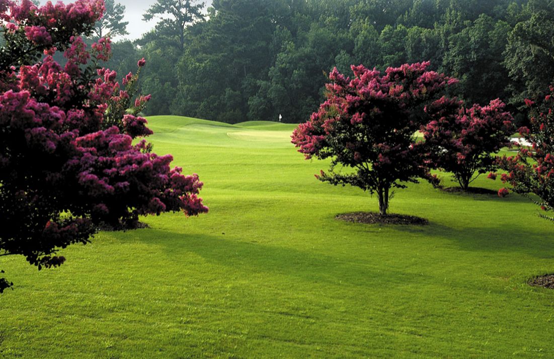 Brays Island Plantation Golf Club