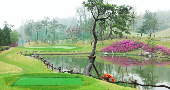 Par-3 Course
