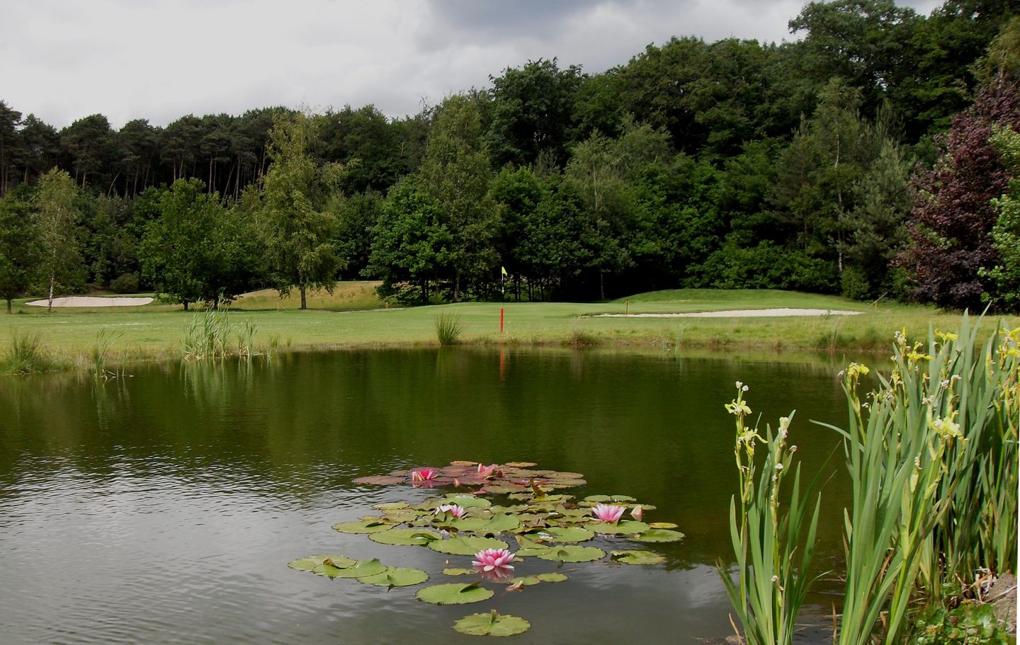 Schaerweijde Golf Club