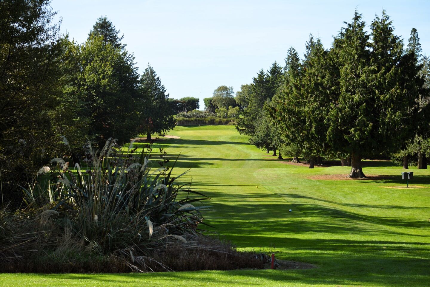 Waimate Golf Club