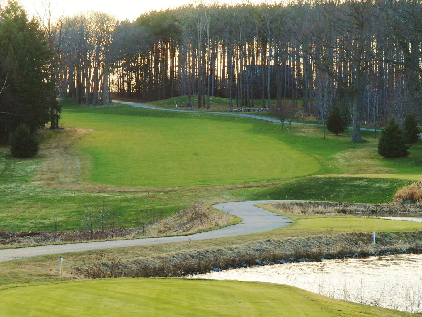 GREENWOOD GOLF&COUNTRY CLUB / SARNIA 千鳥柄 グリーンウッド ゴルフ