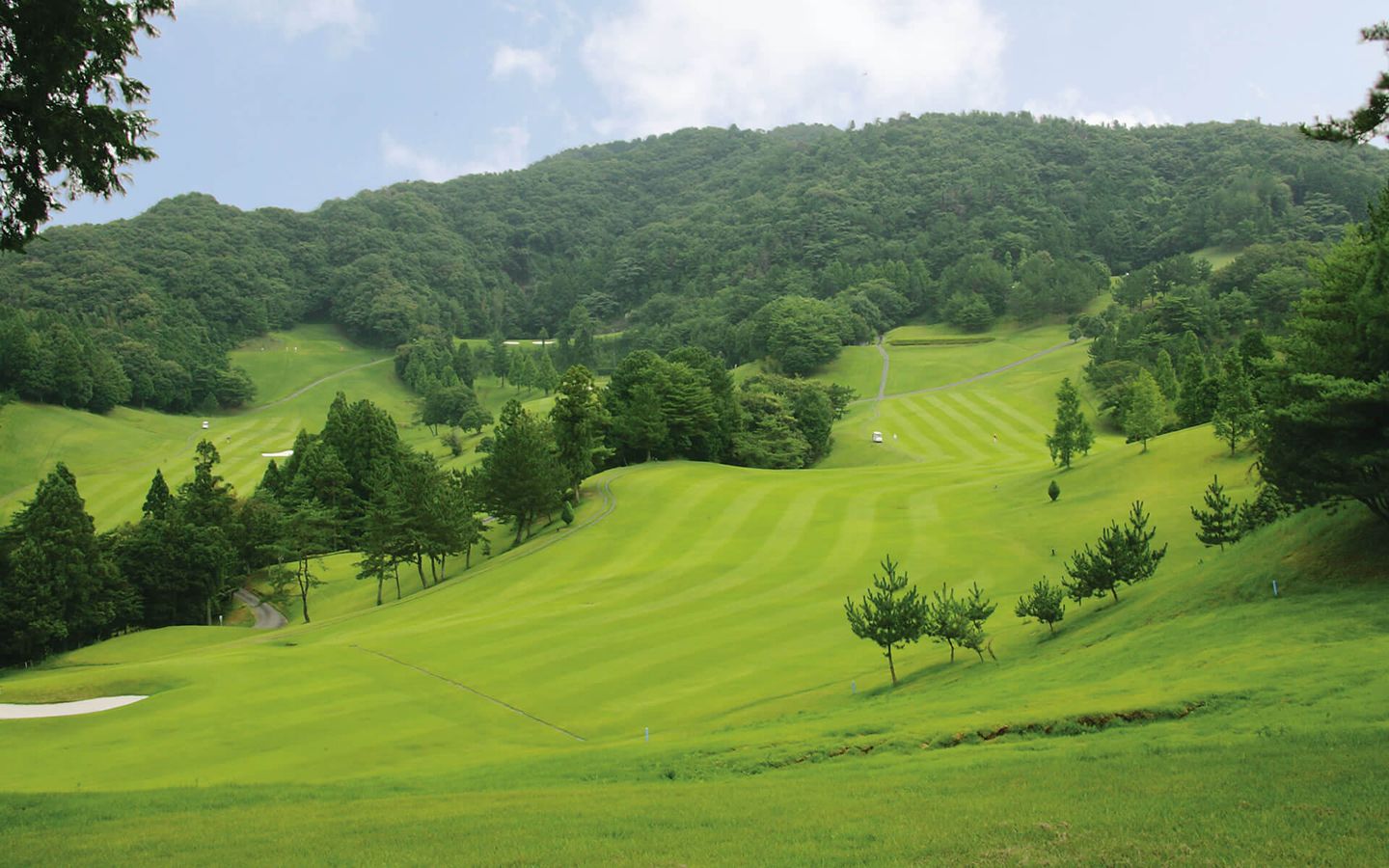 Tenryu/Tachibana Course