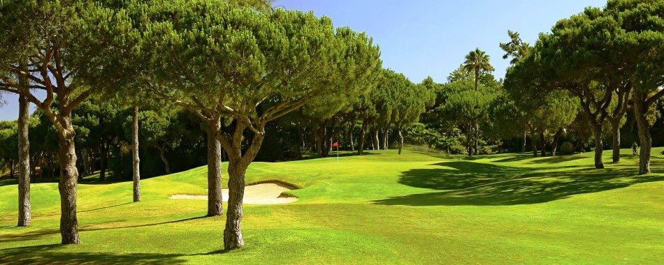Pines Course