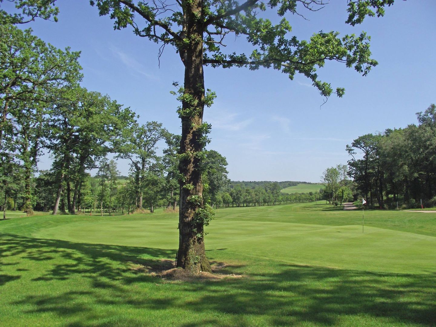 Kigbeare Course