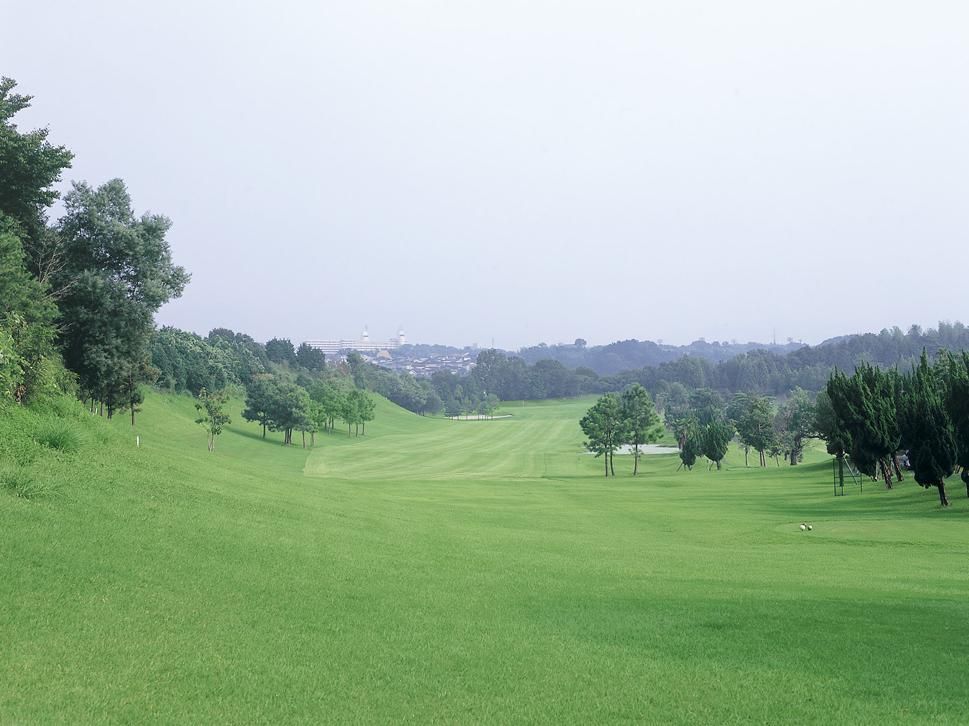 Pine/Plum Course