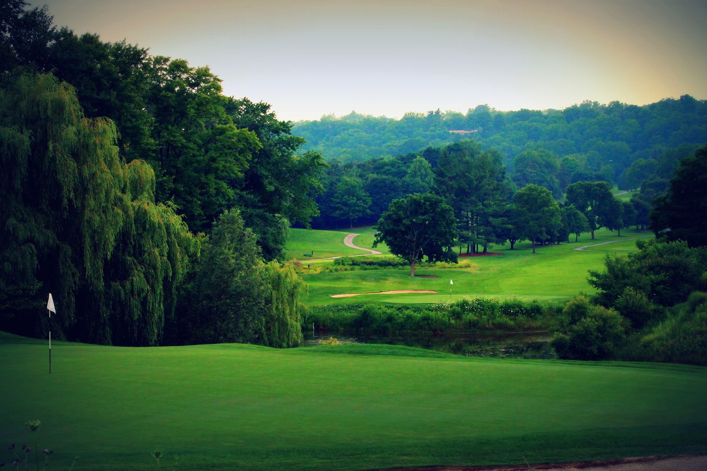 Par-3 Executive