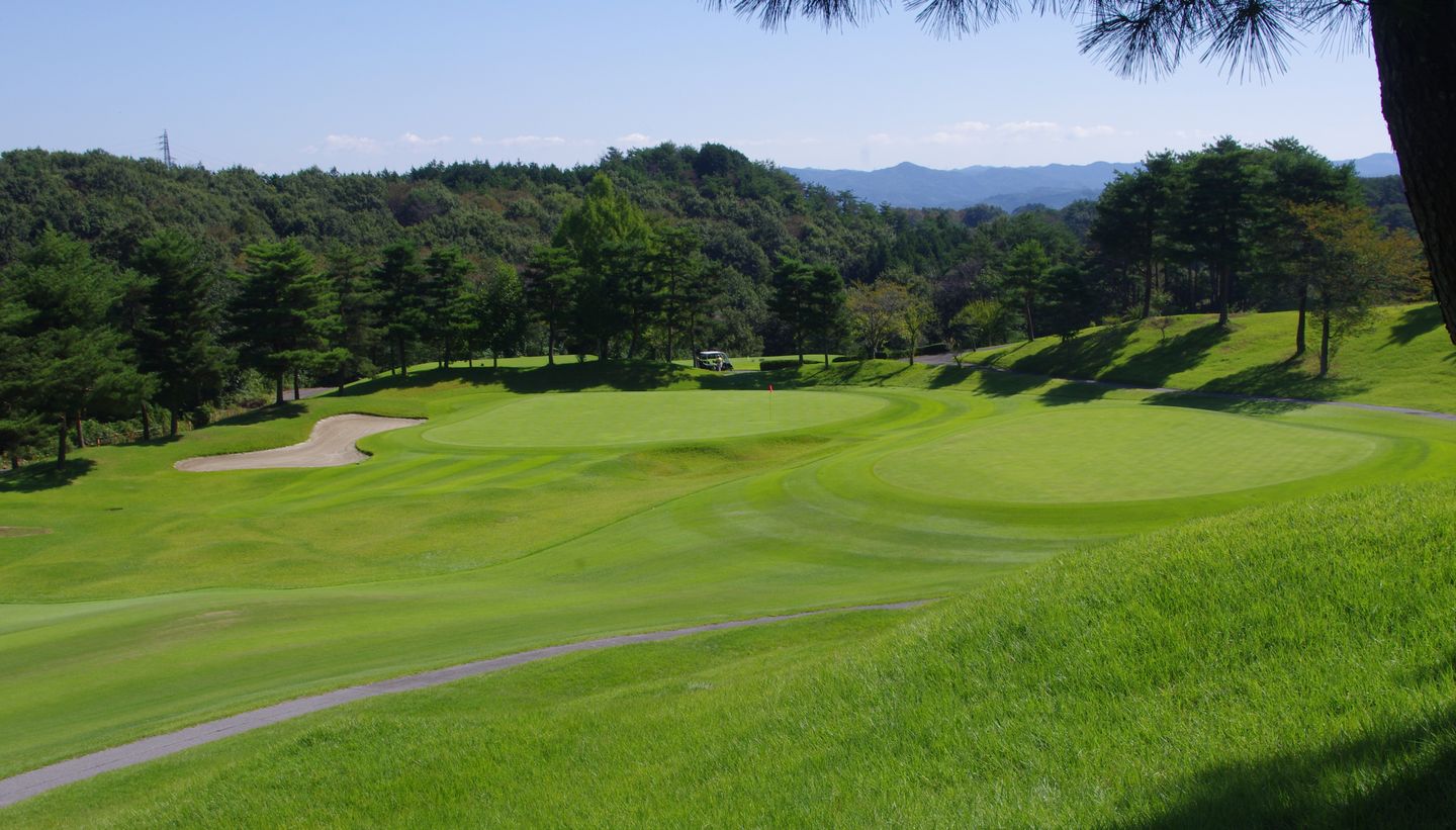 Tsubaki Course