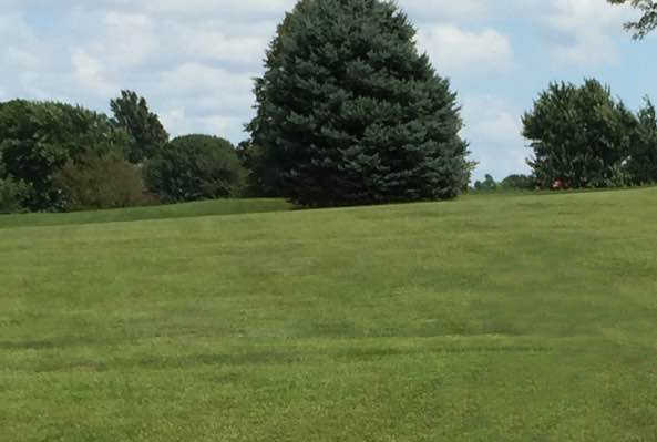 Pine Valley Golf Course