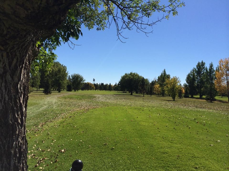 McVille Country Club in McVille, North Dakota, USA GolfPass