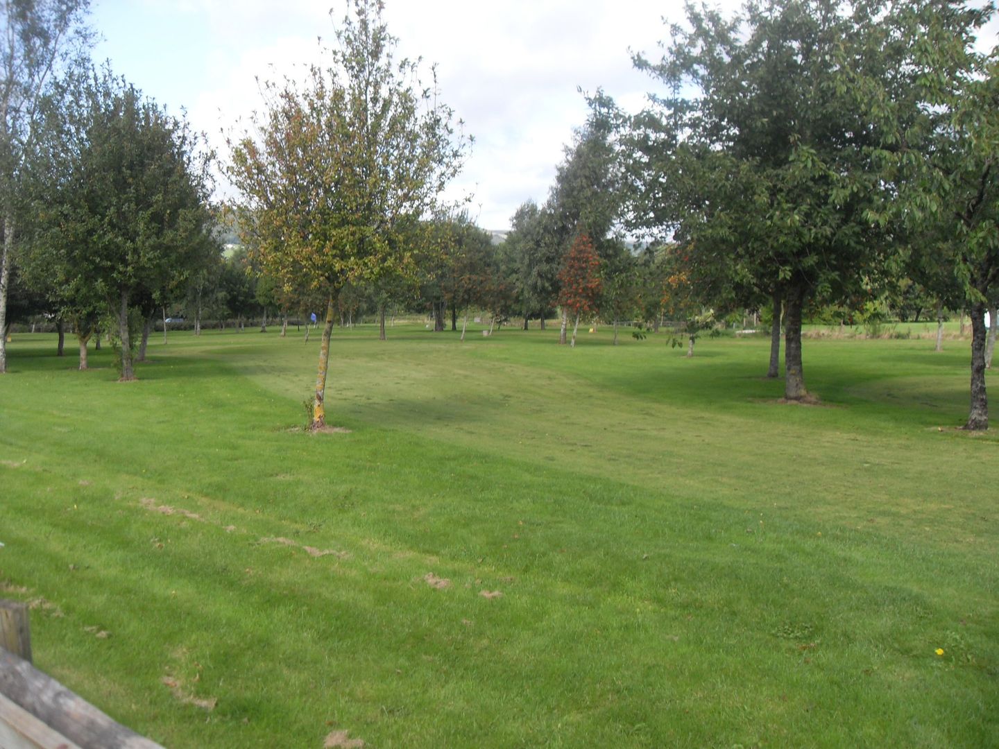 Pitch & Putt Course