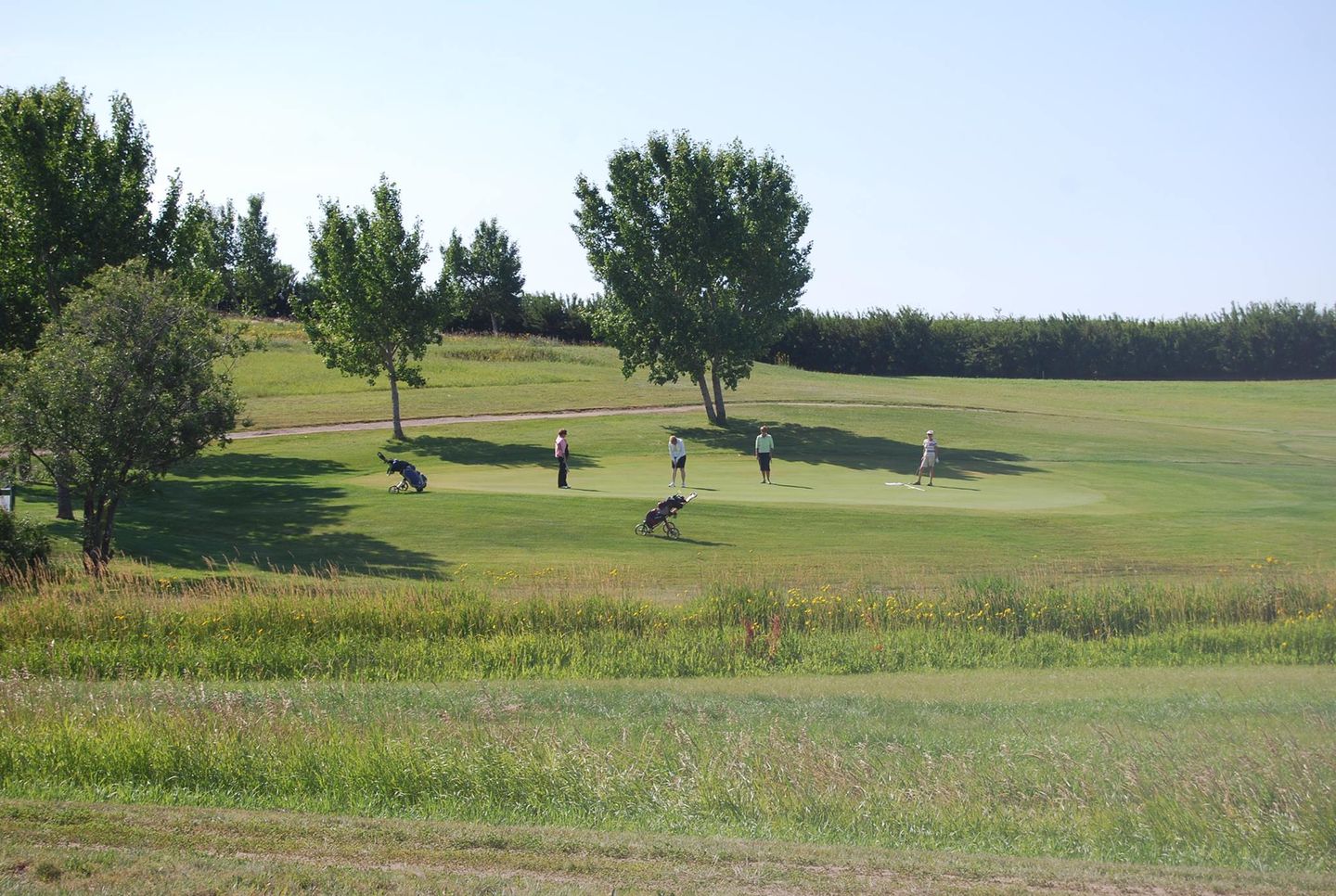 Rosetown Golf and Country Club