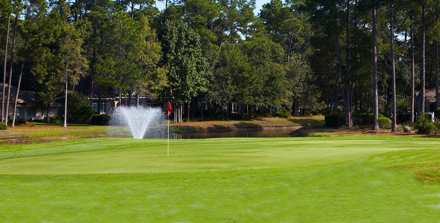 The Golf Club