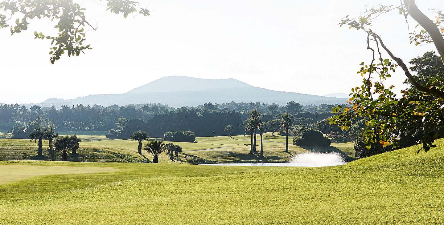 Palm Course