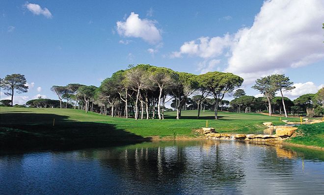 Prestige Course