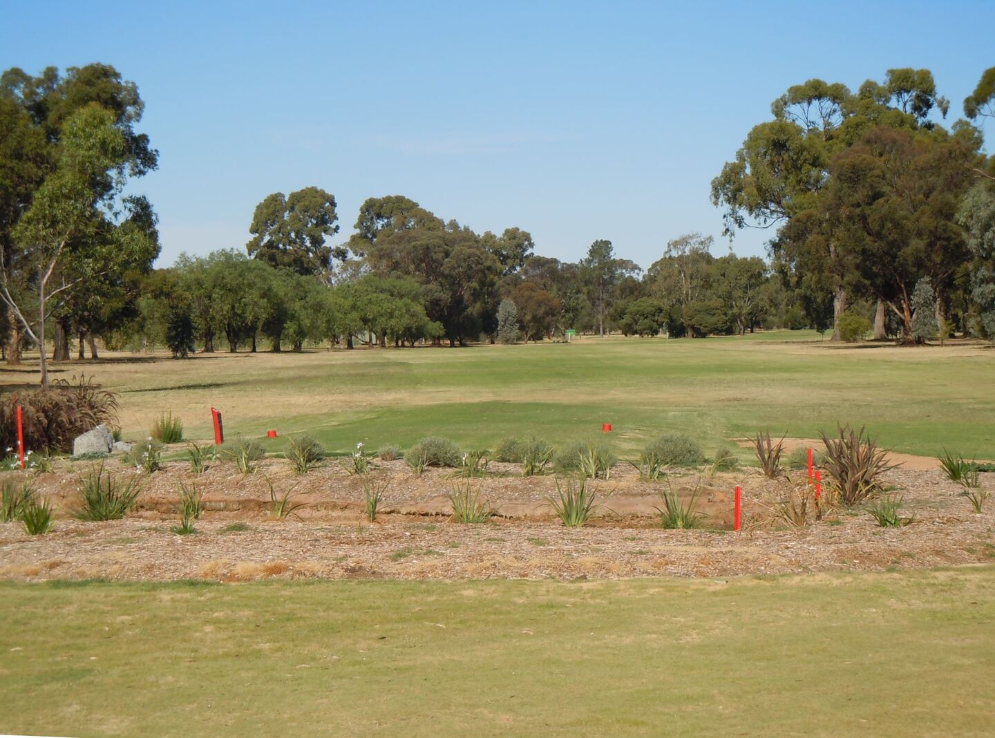 Numurkah Golf Club
