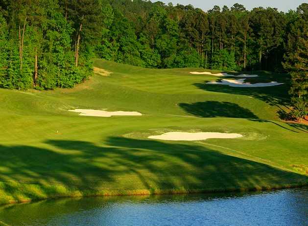 Canyon/Loblolly
