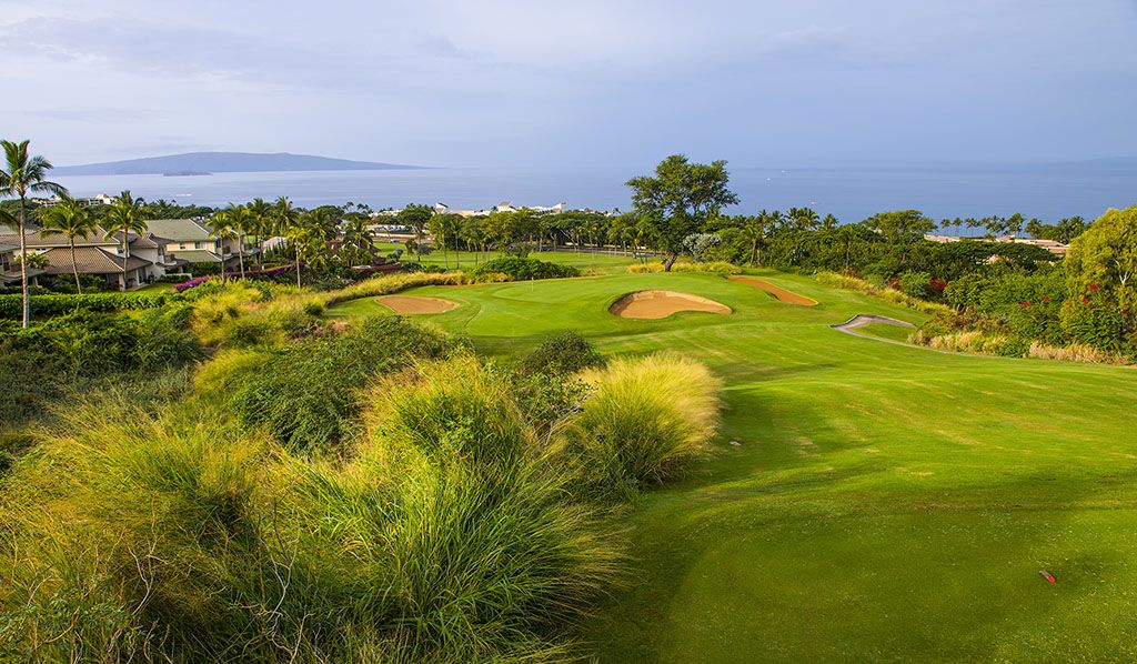 希少！90sヴィンテージ Imperial Wailea Golf Course