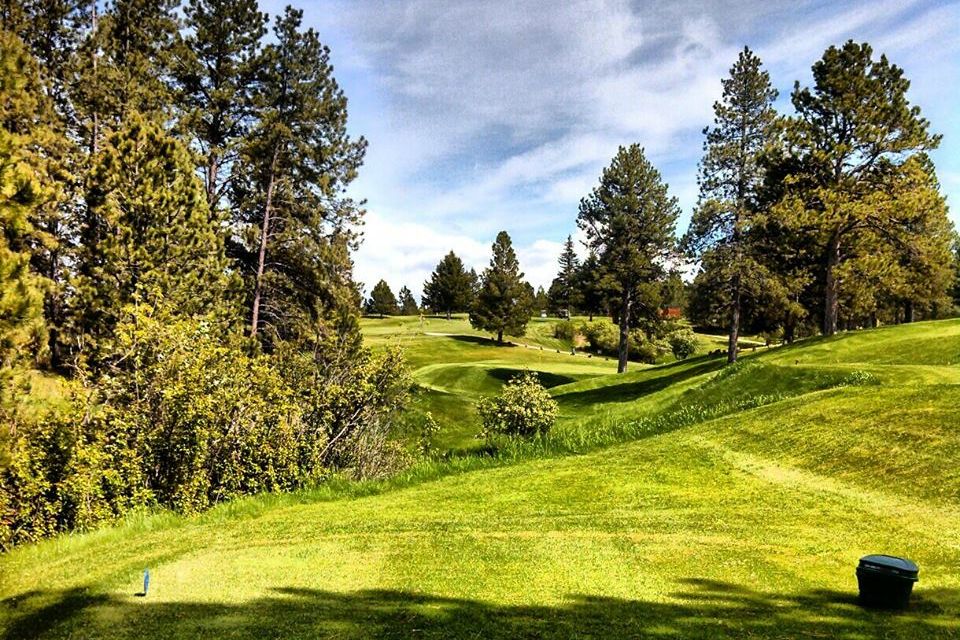 Pine Meadows Golf Club in Lewistown, Montana, USA GolfPass