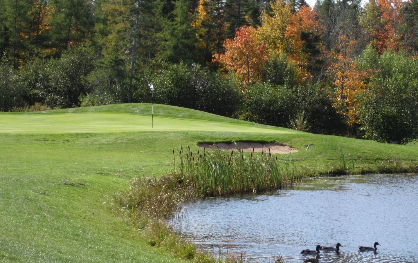 The Links at Penn Hills