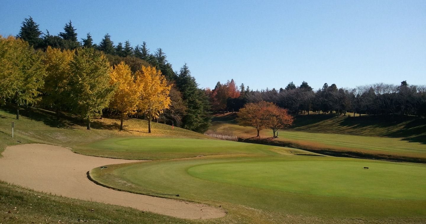 たぁ君⛳️ たぁ君⛳️ たぁ君⛳️