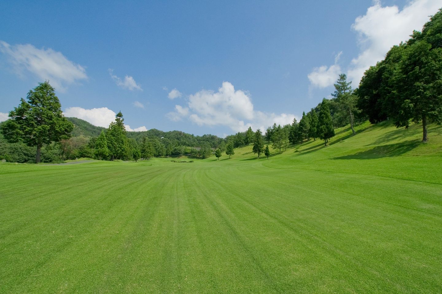 Center/West Course
