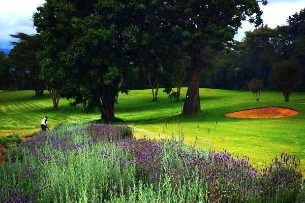 Fairmont Mount Kenya Safari Club